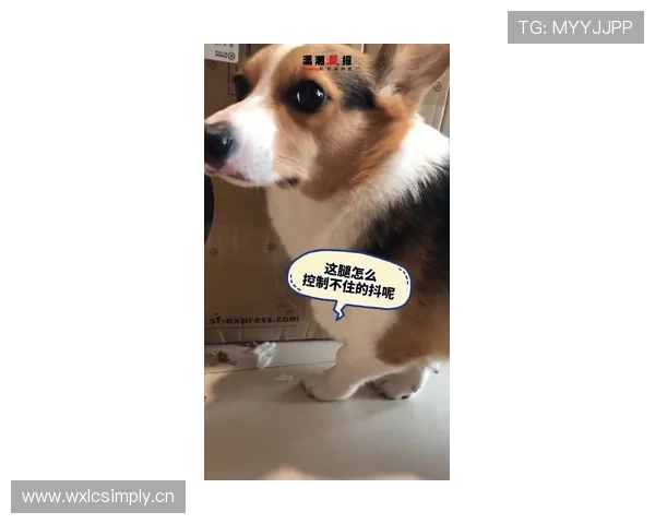 李小鹏家的狗吃的都比我一个月工资还贵